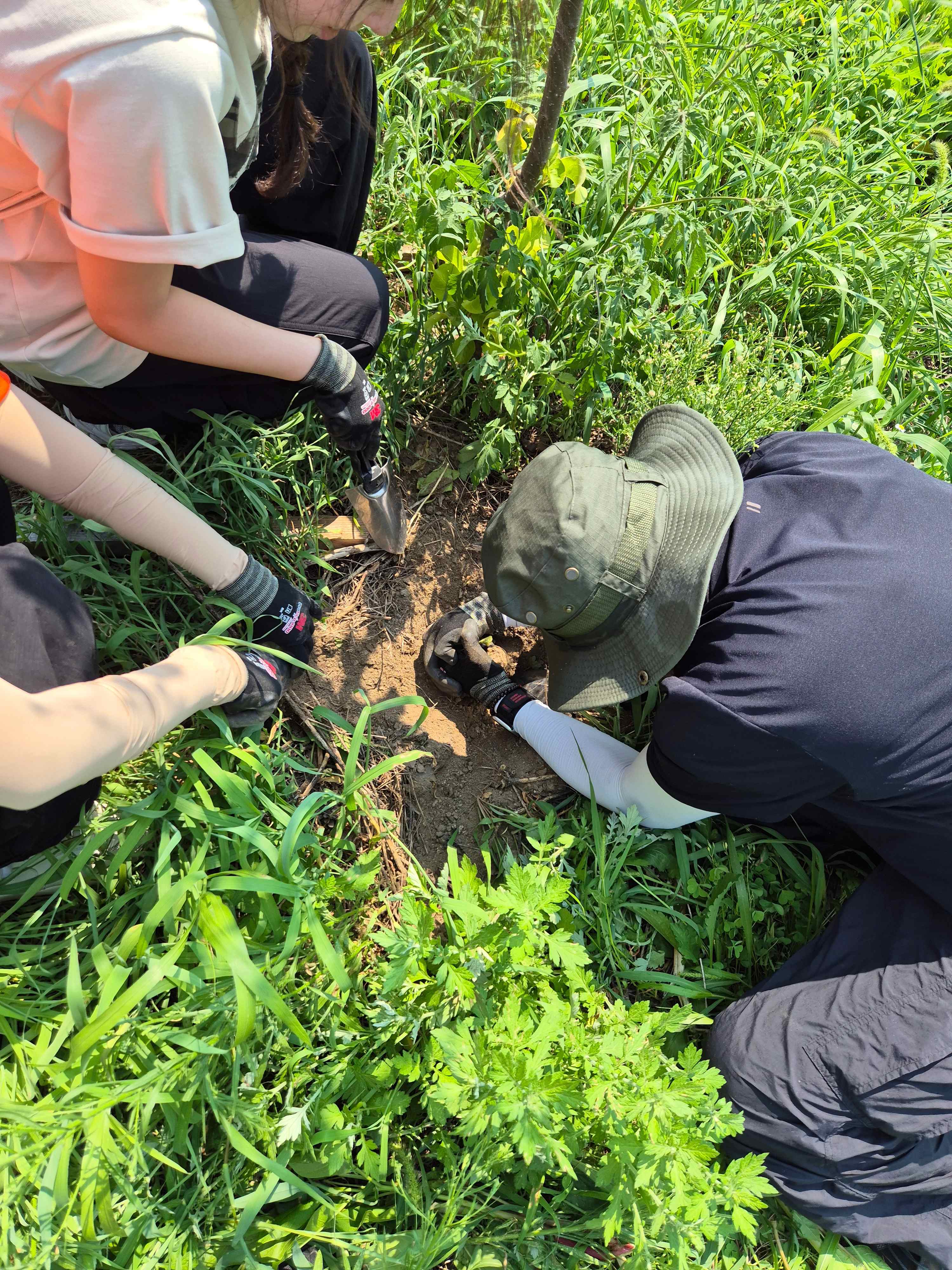 ์ฐ๋ถ ํผํดํ ์ ๊ด์ฐฐ ๋ฐ ์ํ๊ต๋์ข
์ ๊ฑฐ